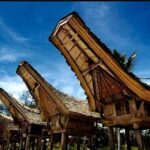 “atraksi Budaya Toraja Sulawesi”