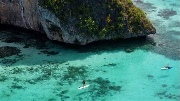 Eksplorasi Biota Laut Raja Ampat