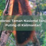 Eksplorasi Taman Nasional Terkenal