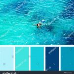 Harmoni Warna Laut Biru