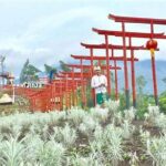 Keindahan Ala Jepang Di Bali