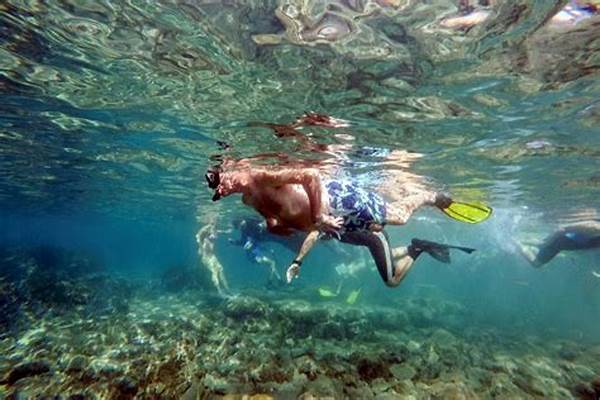 Lokasi Snorkeling Terbaik Di Papua