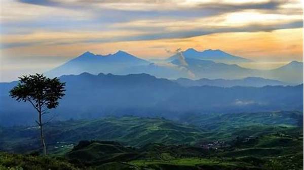 “panorama Gunung Halimun Salak”