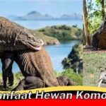 Pengendalian Populasi Mangsa Komodo