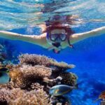 Surga Bawah Laut Indonesia Snorkeling