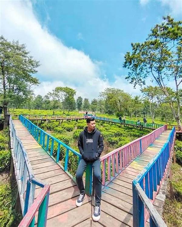 Tempat Rekreasi Anak Wonosari