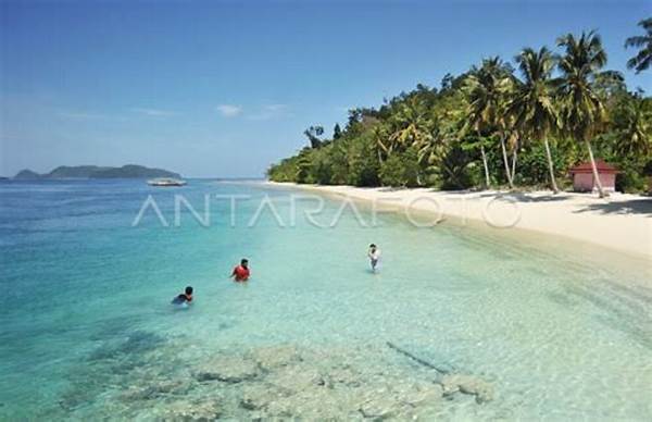 Wisata Bahari Snorkeling Di Padang