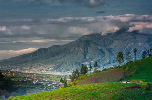 Destinasi Wisata Favorit Di Malang