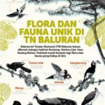 Flora Dan Fauna Unik Baluran