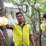 Kebun Belimbing Dewa Depok