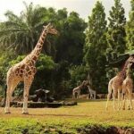 Kegiatan Edukatif Outdoor Keluarga Bogor