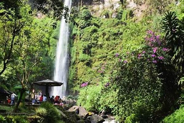 Liburan Keluarga Di Coban Rondo
