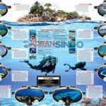 Lokasi Menyelam Populer Indonesia