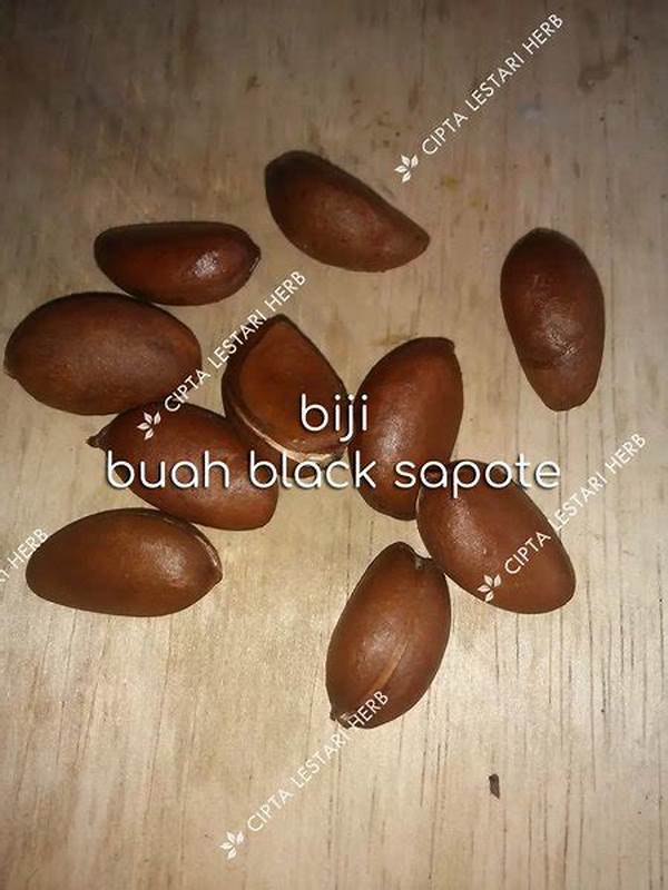 Rasa Unik Coklat Dari Biji Langka
