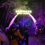 Safari Malam Di Hutan