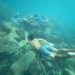Snorkeling Menyaksikan Terumbu Karang Indonesia