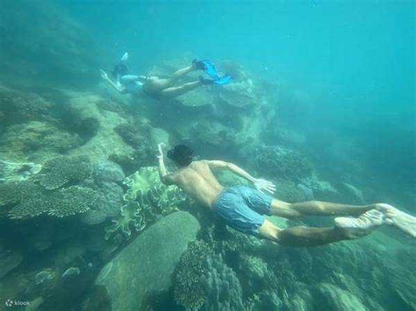 Snorkeling Menyaksikan Terumbu Karang Indonesia