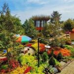 “wisata Keluarga Hits Puncak”