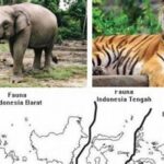 “wisata Pendidikan Flora Dan Fauna”