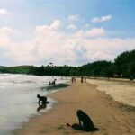 Aktivitas Seru Di Serang