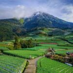 Atraksi Alam Pedesaan Magelang