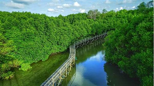“eksplorasi Hutan Mangrove Di Probolinggo”