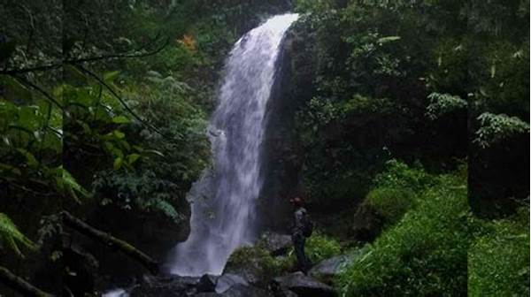 Jelajah Keindahan Alami Tersembunyi