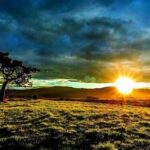 Ketentraman Alam Di Pagi Hari