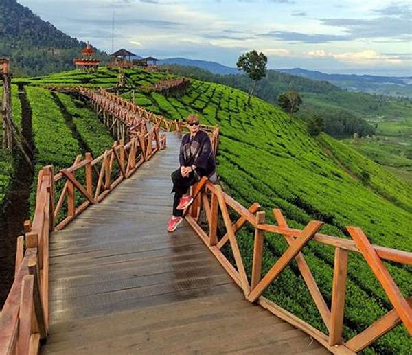 Lokasi Fotogenik Alam Pangalengan