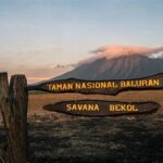 Pengalaman Birdwatching Di Savana Baluran