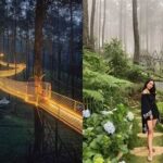 Spot Foto Instagramable Di Gethuk