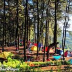 Tempat Camping Keluarga Bogor