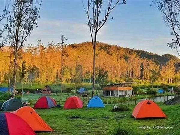 “destinasi Camping Unik Ciwidey”