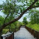 **ekosistem Pesisir Mangrove Wonorejo**