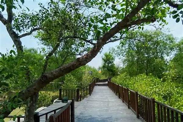 **ekosistem Pesisir Mangrove Wonorejo**