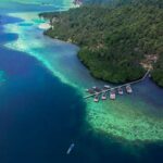 Jelajahi Keajaiban Laut Pahawang