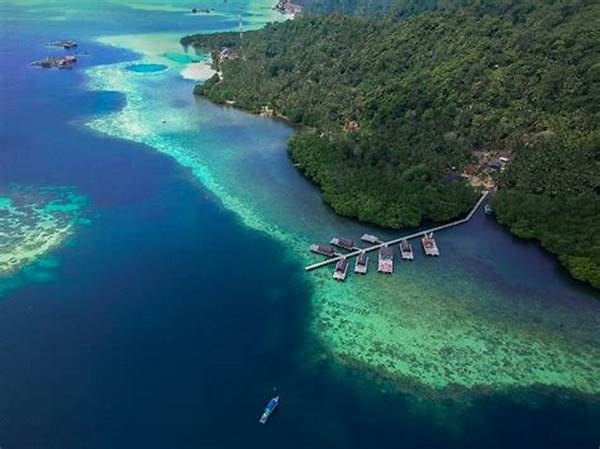 Jelajahi Keajaiban Laut Pahawang