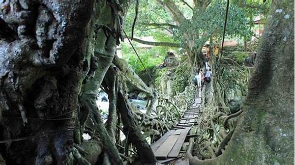 “jembatan Akar Tradisional Pesisir Selatan”