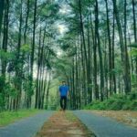 Liburan Tenang Di Tengah Hutan