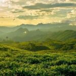 Malino Surga Pecinta Fotografi