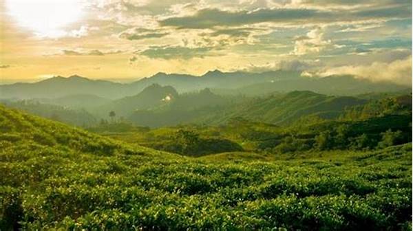 Malino Surga Pecinta Fotografi