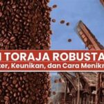 Panduan Memilih Kopi Toraja Terbaik