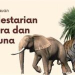 Pelestarian Flora Dan Fauna