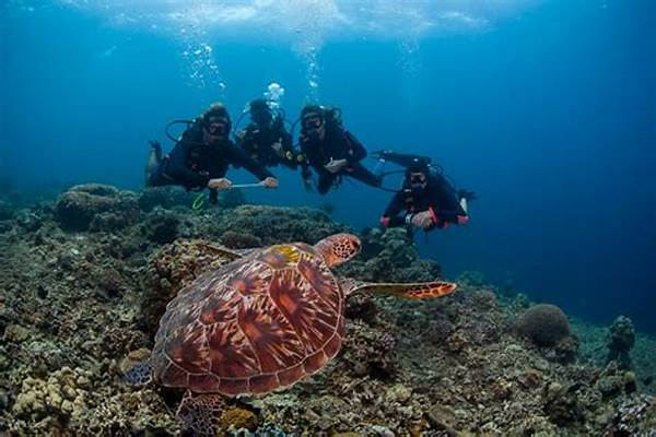 Penyelaman Aman Di Laut Indonesia