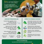 Rehabilitasi Habitat Asli Komodo