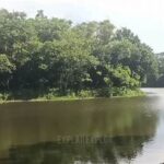 Relaksasi Di Pinggir Danau Tenang