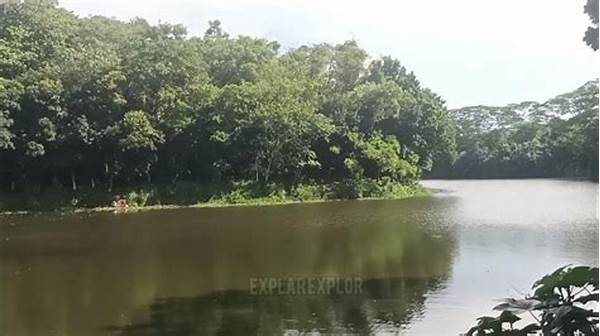 Relaksasi Di Pinggir Danau Tenang