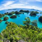 “spot Snorkeling Favorit Di Papua”