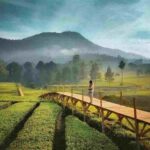 Tempat Wisata Keluarga Pangalengan