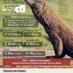 Upaya Konservasi Di Taman Komodo
